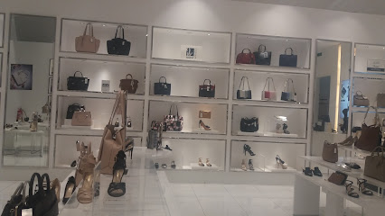 ناين وست - الطائف -