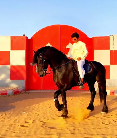 اسطبل العلي اسطبل العلي - سكاكا -
