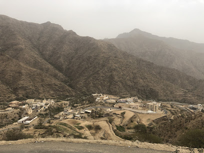 مدرسة أنس بن مالك الإبتدائية - Saudi Arabia|63987