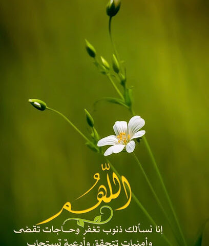إستراحة عبدالله الجريذي - الارطاوية -