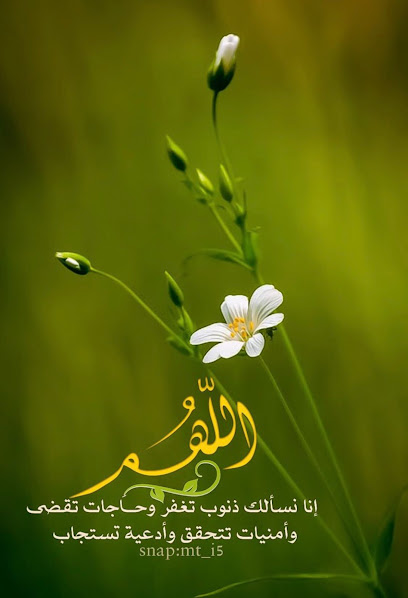 إستراحة عبدالله الجريذي - Saudi Arabia|Al Artawiyah 15753|حي الفلح