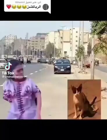 مدرسة أجيال الخفجي الابتدائية الأهلية - الخفجي - +966 13 766 3223