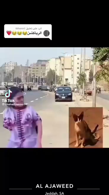 مدرسة أجيال الخفجي الابتدائية الأهلية - Saudi Arabia|Khafji 39254|4634|6301 شارع 15 ب