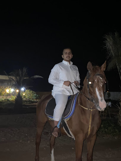 إسطبلات الحنانية لرعاية وانتاج الخيل العربية إيواء وتعليم الفروسية - Saudi Arabia|Riyadh Al Khabra 54688|Saq Road