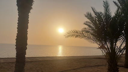 املج - Saudi Arabia|Umluj 48321|Abu Shajarah|27Q5+697