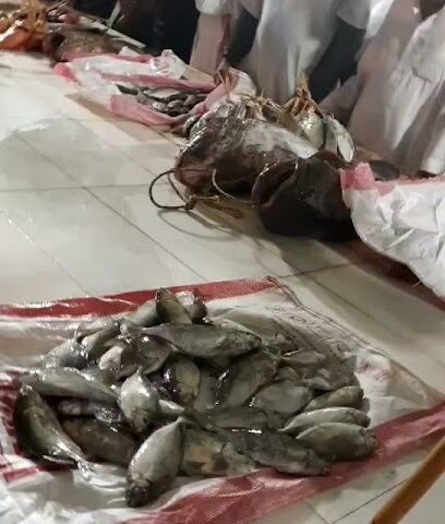 سوق - بدر -