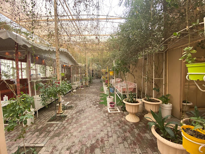 حدائق السوسن للطيور والنباتات - الهفوف - +966 50 584 1794