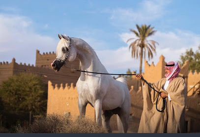 ربط الأصالة للخيل العربية - Saudi Arabia|Riyadh 13636|Ash Sharq|WVX4+R5H