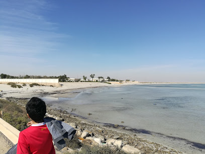 ملعب كرة القدم - Saudi Arabia|39222