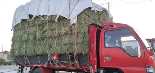 مؤسسة سنابل طبرجل - Saudi Arabia|Tubarjal 74767|طبرجل،|G68C+5MC