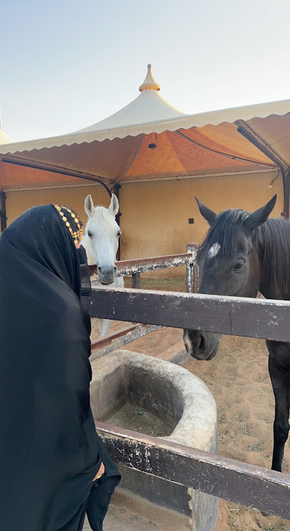 مربط رسين - Saudi Arabia|Riyadh 13635|Unnamed Road|WRQP+G32