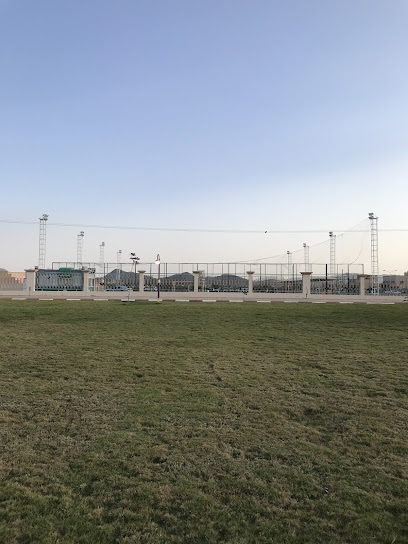 ملعب كرة قدم - Saudi Arabia|Thar 66535|X4G9+WVX