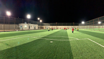 ملاعب التيفو - Riyadh 12555