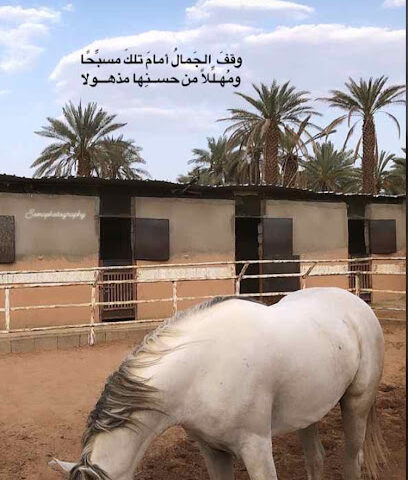 مربط الحصان نايل - المدينة المنورة - +966 53 387 7289