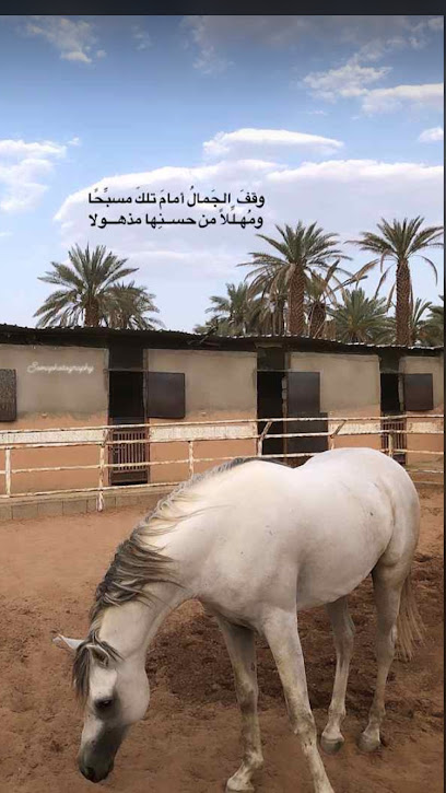 مربط الحصان نايل - Saudi Arabia|Al Madinah Al Munawwarah 42336|As Sadiqiyyah|HH6P+J93
