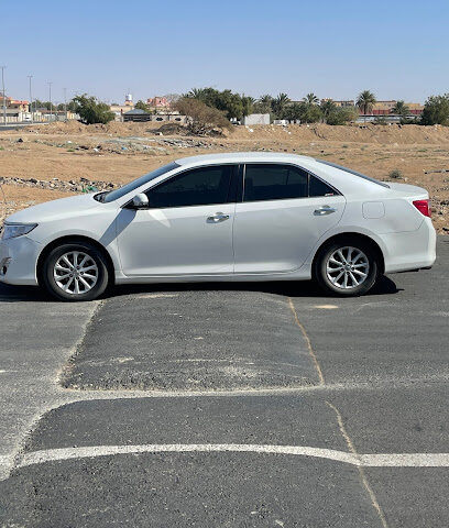 الواحدة والاربعون الابتدائية للبنات - نجران - +966 17 529 3518