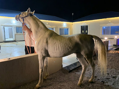 مربط رمادان للخيل العربية الاصيلة - تربه - +966 56 697 9793