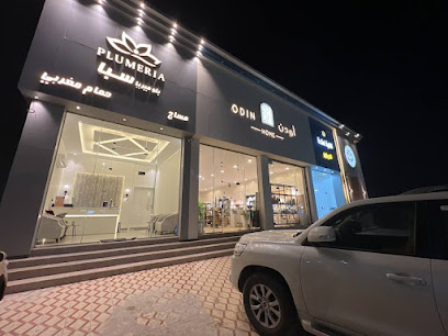 مساج وحمام مغربي بلوميريا سبا Plumeriaspa - Saudi Arabia|Hafar Al Batin 39921|حفر الباطن المصيف طريق ابو بكر الصديق|ابو بكر الصديق
