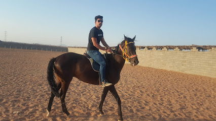 حديقة حيوانات صغيرة - عبيره - +966 54 443 3242