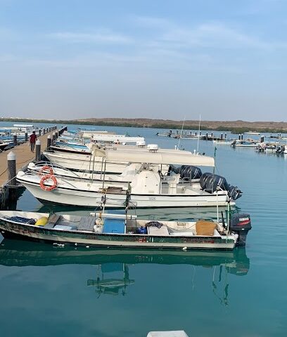 روائع الجزر - جزيرة فرسان - +966 54 151 2260