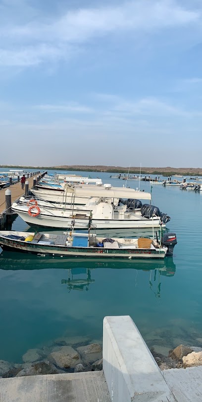 روائع الجزر - Saudi Arabia|Farasan Island|العام