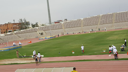 مدينة الملك فهد الرياضية - الطائف -