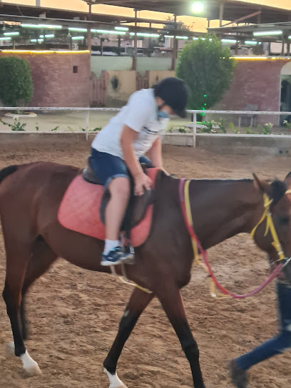مركز المنتهى للفروسية - Saudi Arabia|Jeddah 23648|8778