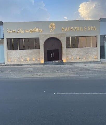 دافوديلز سبا دافوديلز سبا - خميس مشيط - +966 55 772 2972