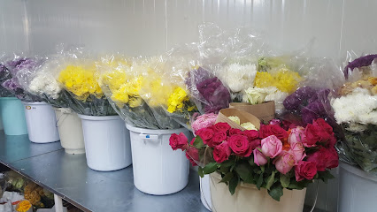 زهرة نورا - Saudi Arabia|Al Jubail 35811|4266