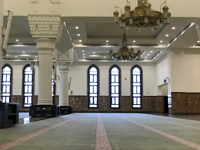 أرض فكرة غير - المدينة المنورة -