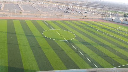 استاد جامعة جازان - جازان - +966 50 100 2511