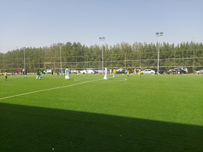 سانيس - نجران - +966 17 523 8844