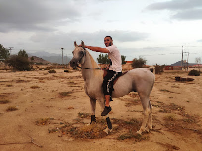 ربط الجلاء لإيواء الخيل ورياضة الفروسية - Saudi Arabia|Mecca 24446|G2W8+9H6
