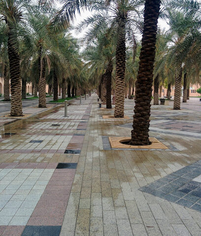كلية علوم الحاسب وتقنية المعلومات - الهفوف - +966 13 589 9201