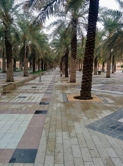 كلية علوم الحاسب وتقنية المعلومات - Saudi Arabia|Al Hofuf 36362|King Faisal University 1st|8HMX+RXH