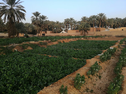 مزرعة للخضروات الطازجة - الدرعية - +966 50 546 3909