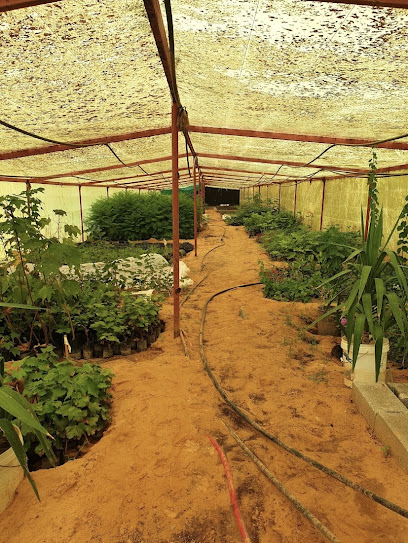روضة - Saudi Arabia|Buraydah|Unnamed Road 52233،