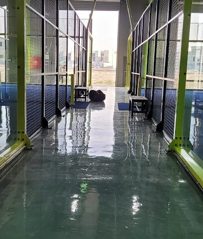 باديل الصحراء - الدمام - +966 55 684 8764