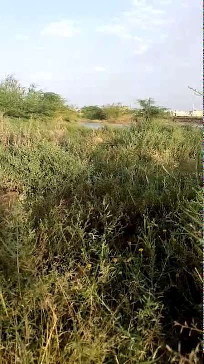 ربط عالية نجد لتعليم الفروسية - Saudi Arabia|Afif 17536|7751|5546