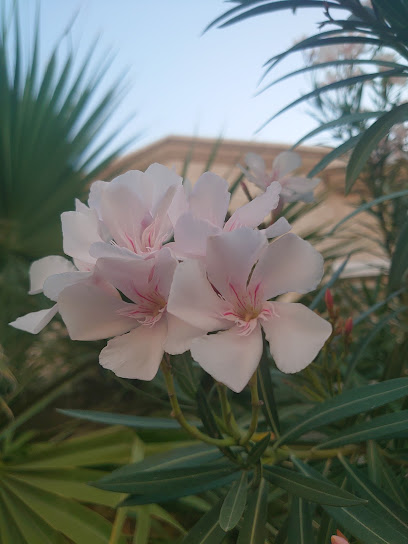 مؤسسة يوسف للخدمات الفنية - Al Khobar 34632
