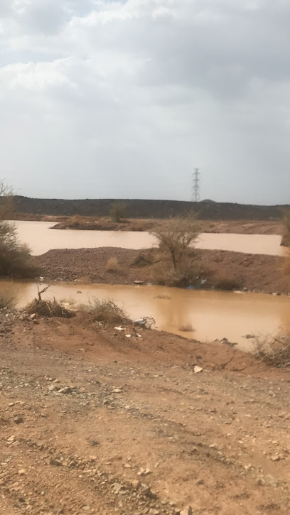 ملعب وول سبورتس كلوب - Saudi Arabia|Riyadh|26°00'12. 40°28'25.0"E|6th
