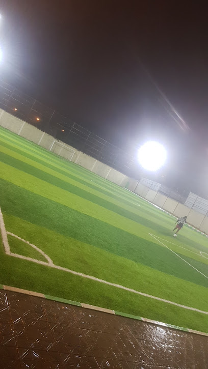حقل المحترف - Saudi Arabia|Hail 55481|Al Suwayfilah|4472