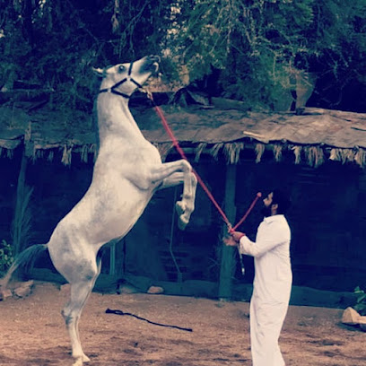 مربط العاتقية للخيل العربية الأصيلة - Saudi Arabia|Taif 26751|496P+GH