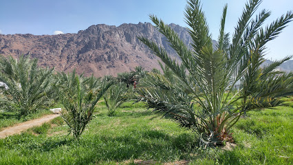 حديقة وسوق خاجور - Saudi Arabia|Al Madinah Al Munawwarah 42333|Al'uyun|GHHR+M5M