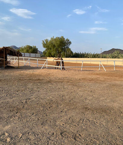 مربط فرح للخيل العربية - المدينة المنورة - +966 56 499 3077