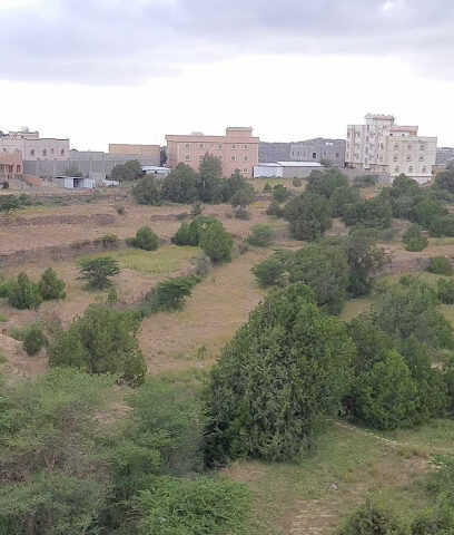 الباحة - الباحة -