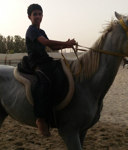 مربط اس كيو للخيل العربية الأصيلة (بيع - شراء- ايواء-تدريب) - صفوى - +966 55 634 2226