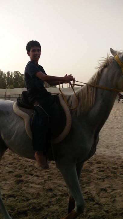 مربط اس كيو للخيل العربية الأصيلة (بيع - شراء- ايواء-تدريب) - Saudi Arabia|Safwa 32685|Al Awjam|طريق ابو حدرية