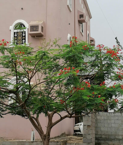 بيت السيد هادي طوهري - النفيع الجنوبية - +966 50 738 5922