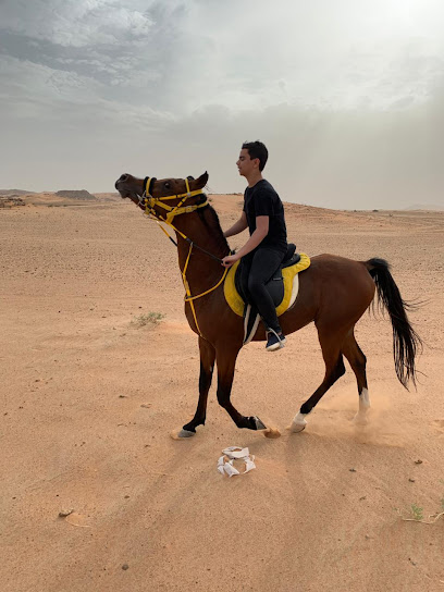 مربط فرسان الاصيل للخيل العربيه الاصيله - Saudi Arabia|7954، الهياثم 16253 3082،